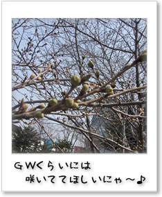 GW炢ɂ͍炢ĂĂقɂ